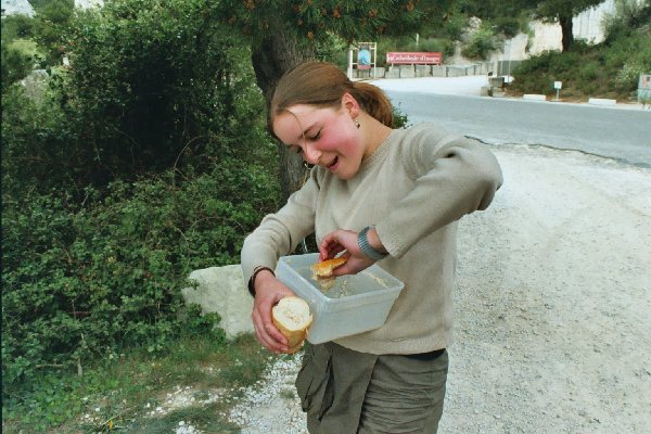 2002nimes136