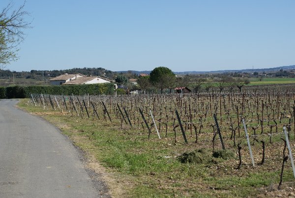 2010anduze005