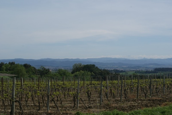 2011carcassonne146