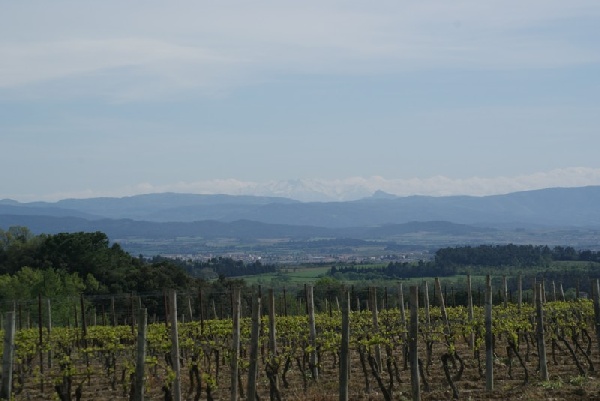 2011carcassonne147