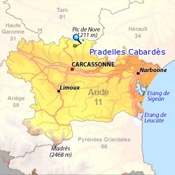 2011carcassonne267