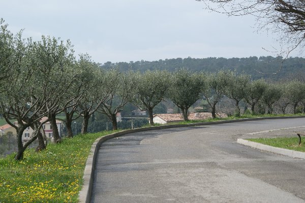 2013lapanne207