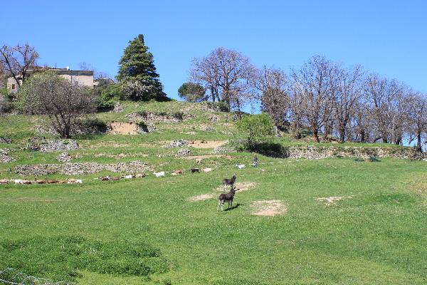 2017anduze095